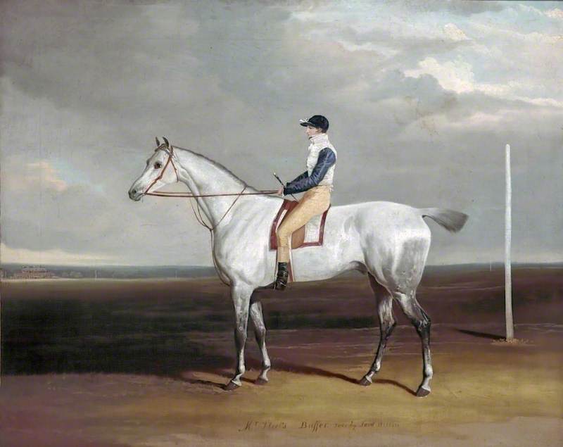 Mr Steel's 'Buffer' Rode by Lord Wilton