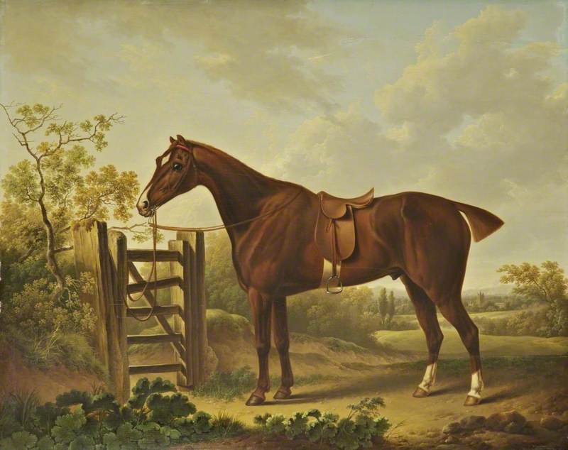 'Regent', a Favourite Horse of Sir Thomas Stanley of Hooton, Cheshire