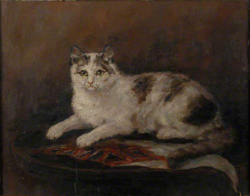 The Cat of HMS 'Exeter'