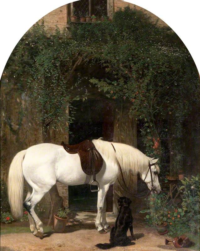 White Horse and Retriever