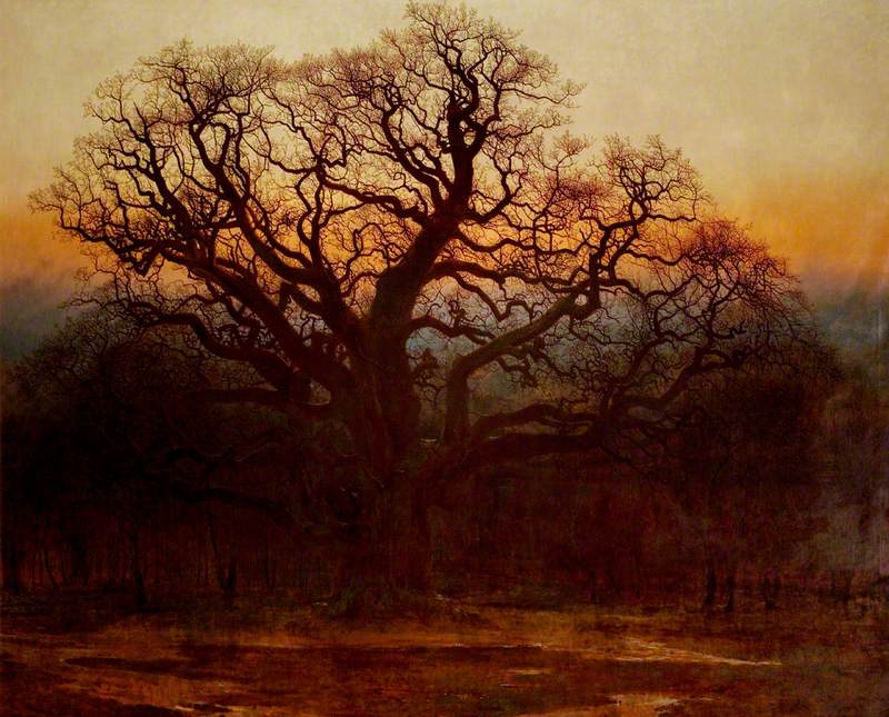 Major Oak, Sherwood Forest, Nottinghamshire