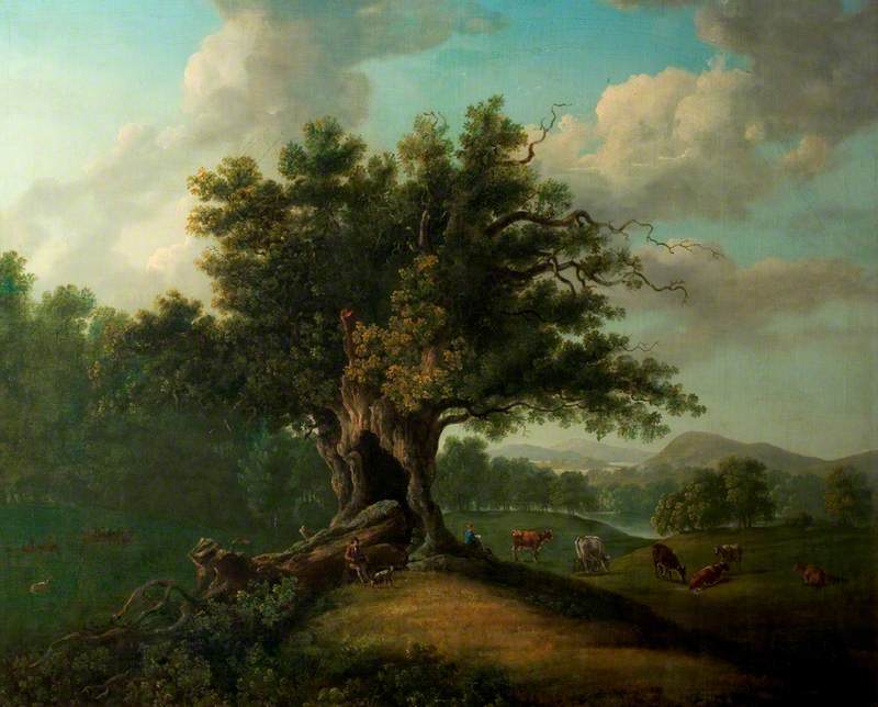 An Oak in Moccas Park, Herefordshire