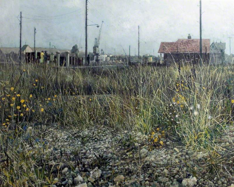 Weeds and Stones, Shoreham-by-Sea, West Sussex