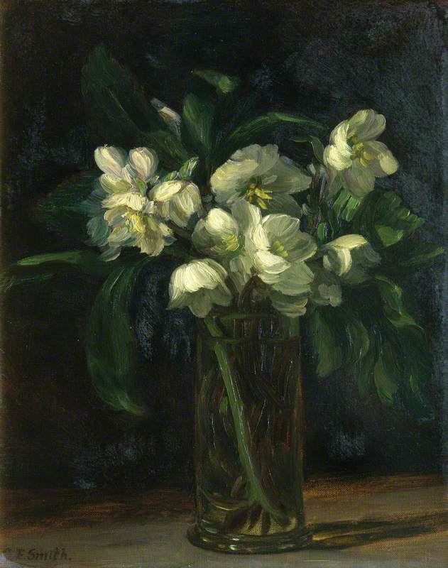 Christmas Roses