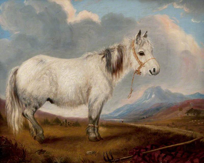 White Pony in a Landscape