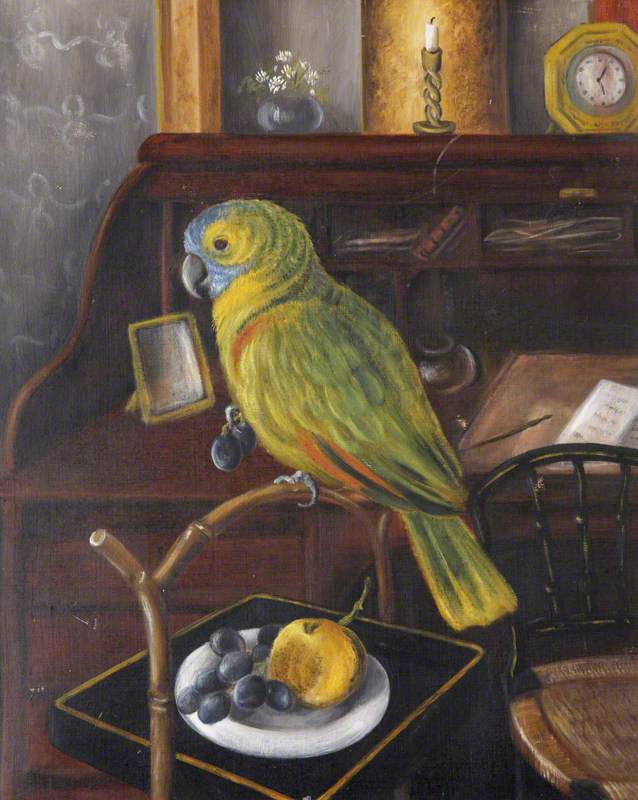 Miss Chichester's Parrot, 'Polly', on Its Perch by Her Desk