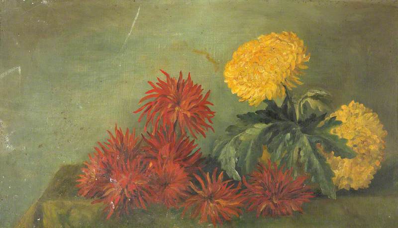 Still Life, Chrysanthemums