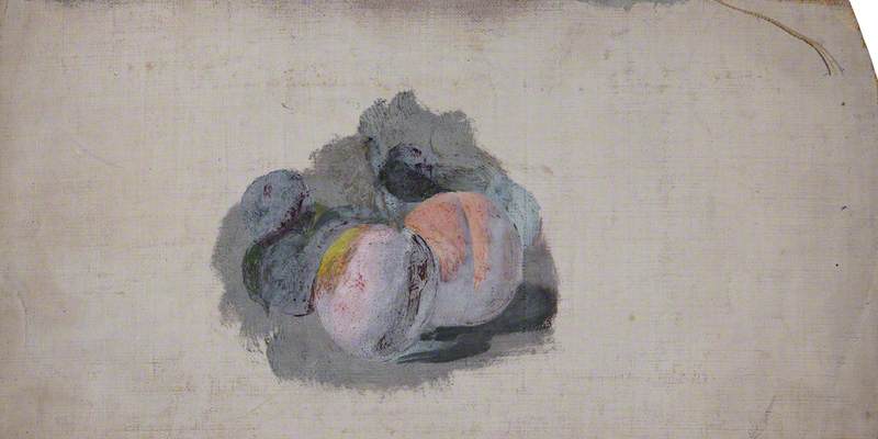 Study of Plums