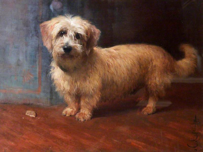 A Dandy Dinmont, Called ‘Scotty’, Monty Miller’s Dog