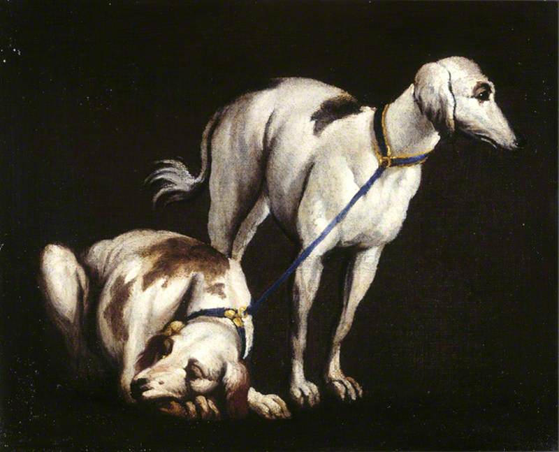 Two Greyhounds