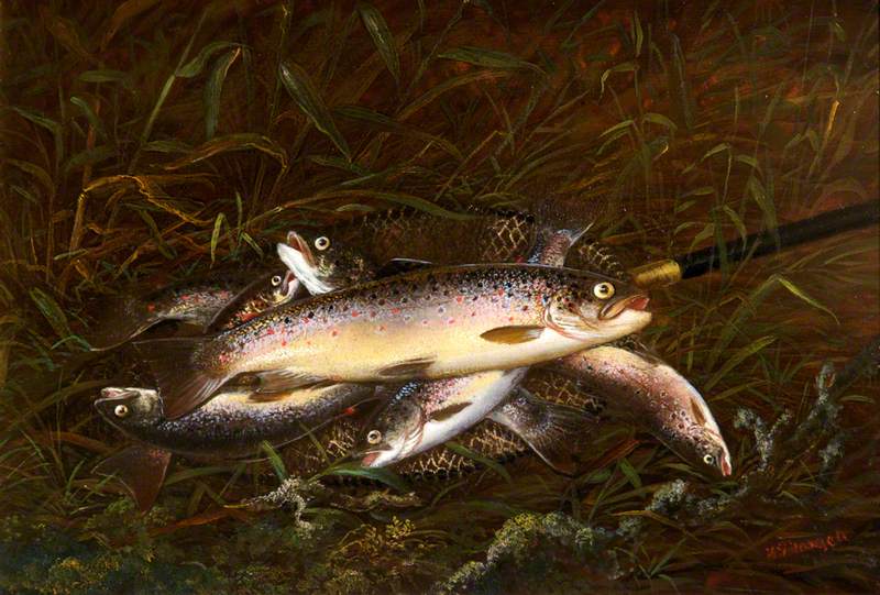 Dead Trout