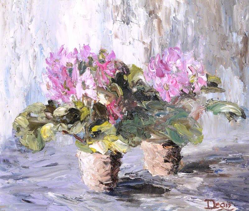 Still Life of Cyclamens in Pots