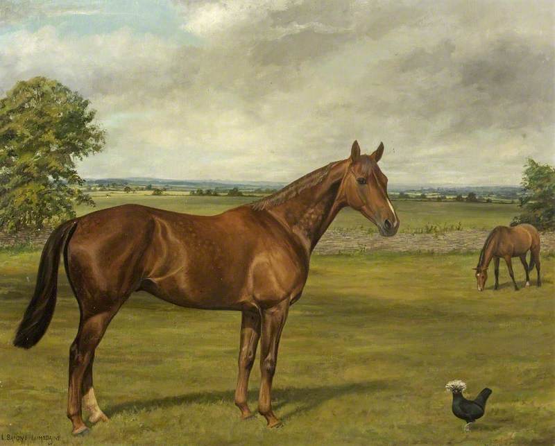 Horses in a Field: 'Willie Wagtail' and 'Arch Guard'