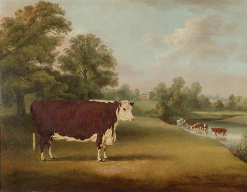 Hereford Cow near Cronkhill Farmhouse, 1858