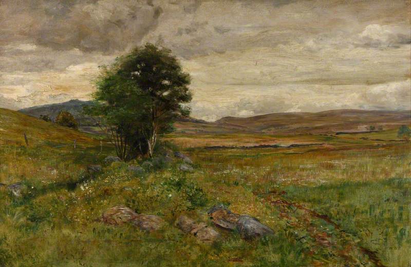 Moorland Landscape with a Tree 