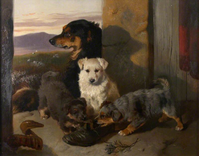 Collie and Pups