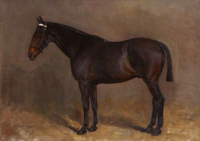 A Chestnut Gelding in a Stable