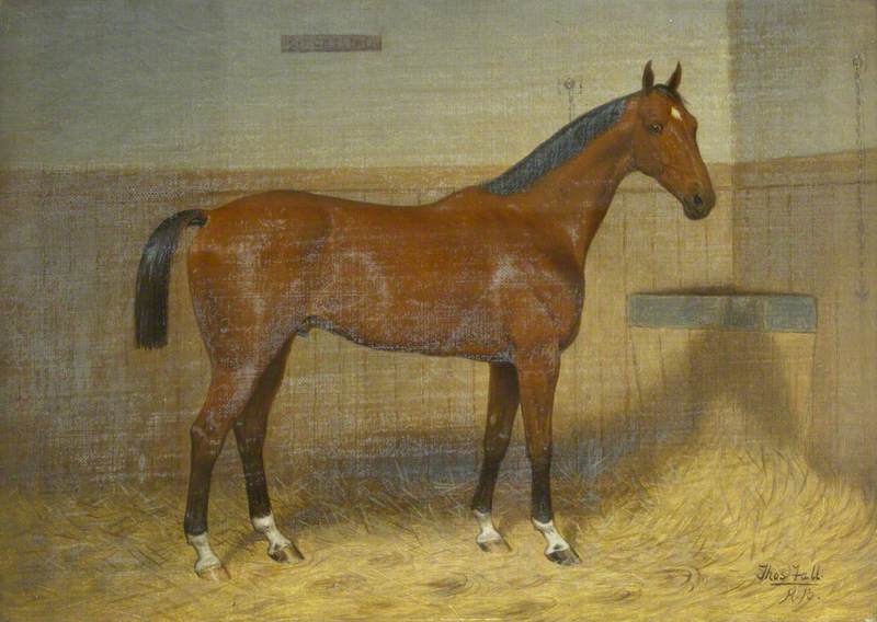 'Circassion', a Hunter in a Stable