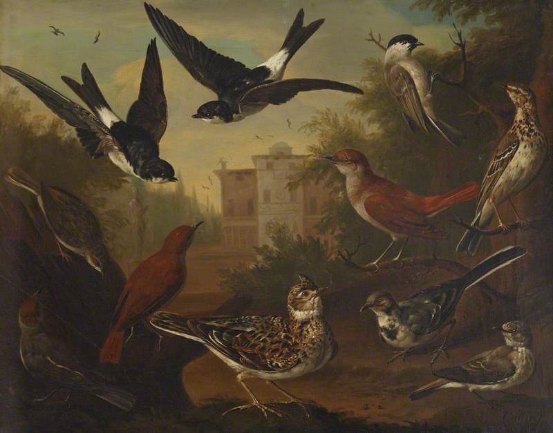 British Birds: Cock Skylark; Hen Beam Bird; Hen White Wagtail; Hen Blackcap; Cock Nightingale; Hen Nightingale; Cock and Hen House Martin; Cock Marsh Titmouse; Hen Titlark; and a Hen Grass Hopper