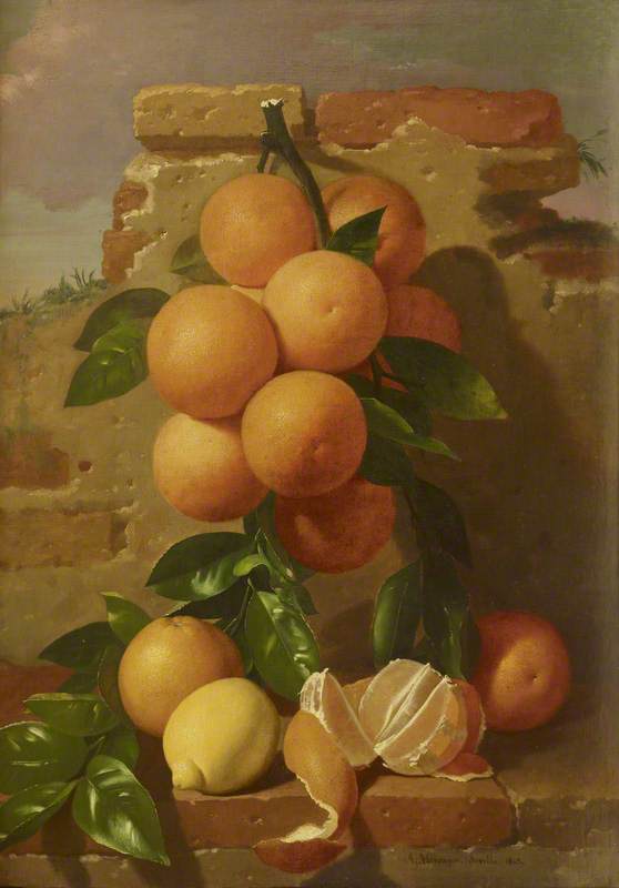 Still Life with Oranges