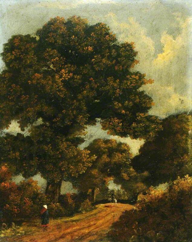 Wooded Landscape