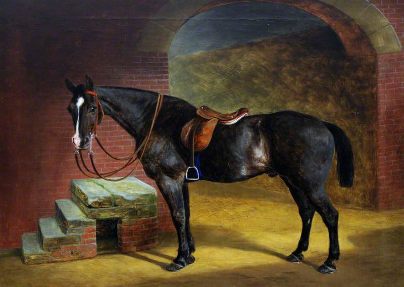 A Saddled Dark Bay Hunter by Mounting Steps