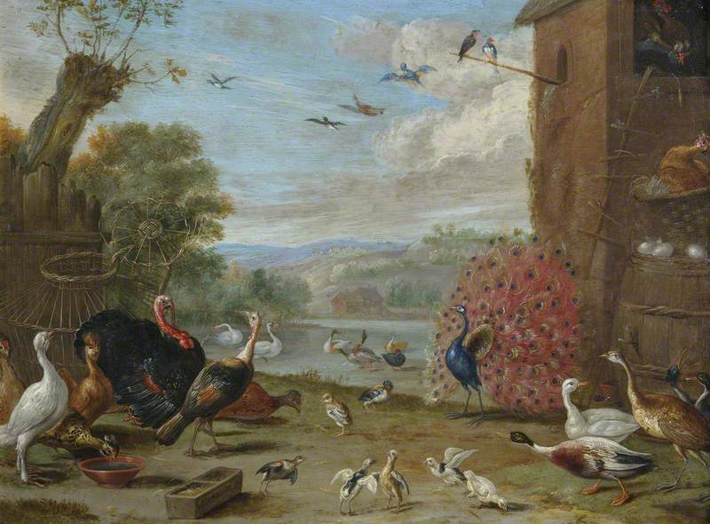 Peacock and Other Birds