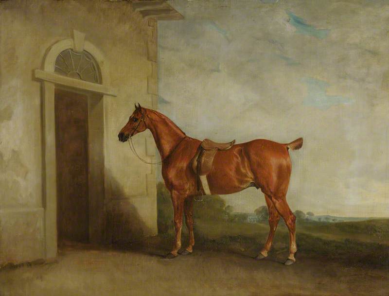 Chestnut Hunter before a Stable