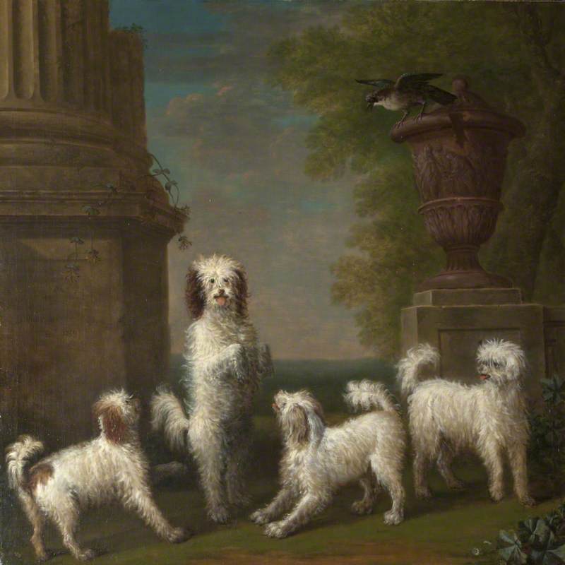 Dancing Dogs: 'Lusette', 'Madore', 'Rosette' and 'Moucheby'