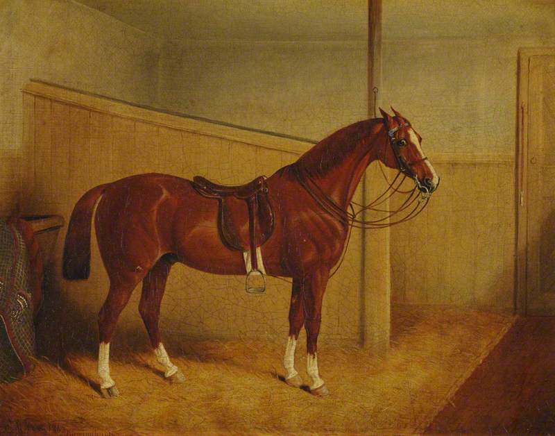 A Saddled Chestnut Horse in a Stable
