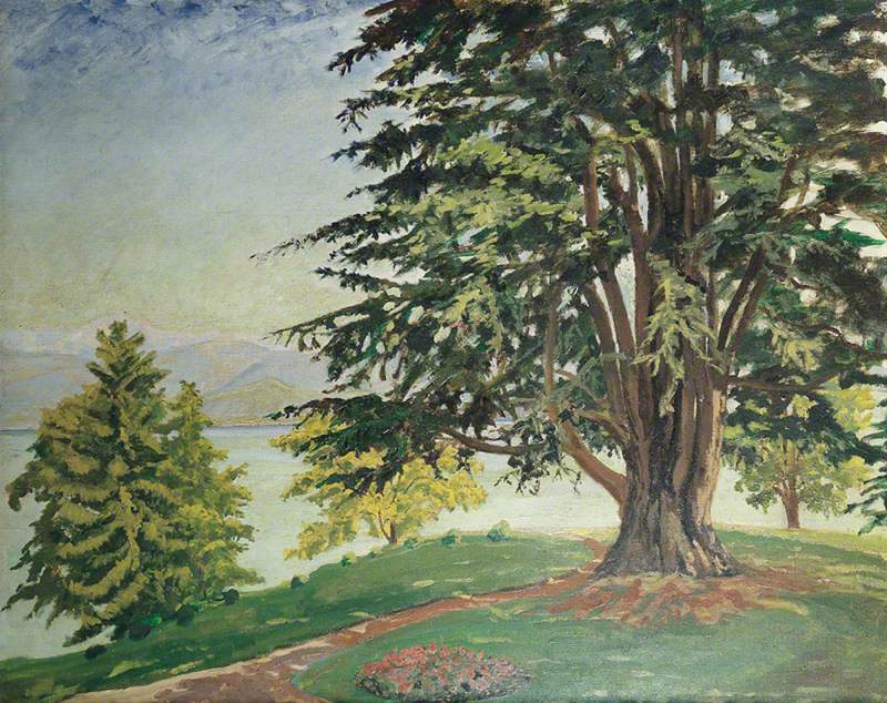 A Large Tree by Lake Como