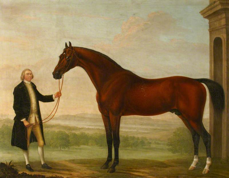 A Bay Hunter Held by its Owner