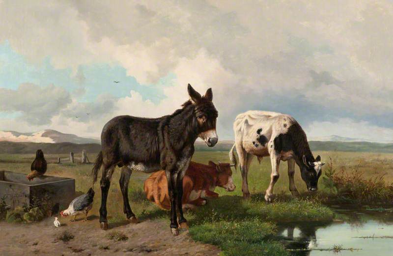A Donkey and Cattle at a Pool