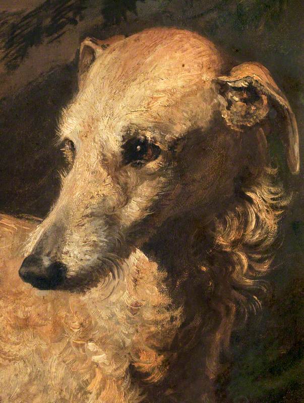 Head of 'Driver', a Deerhound Owned by the 5th Duke of Gordon