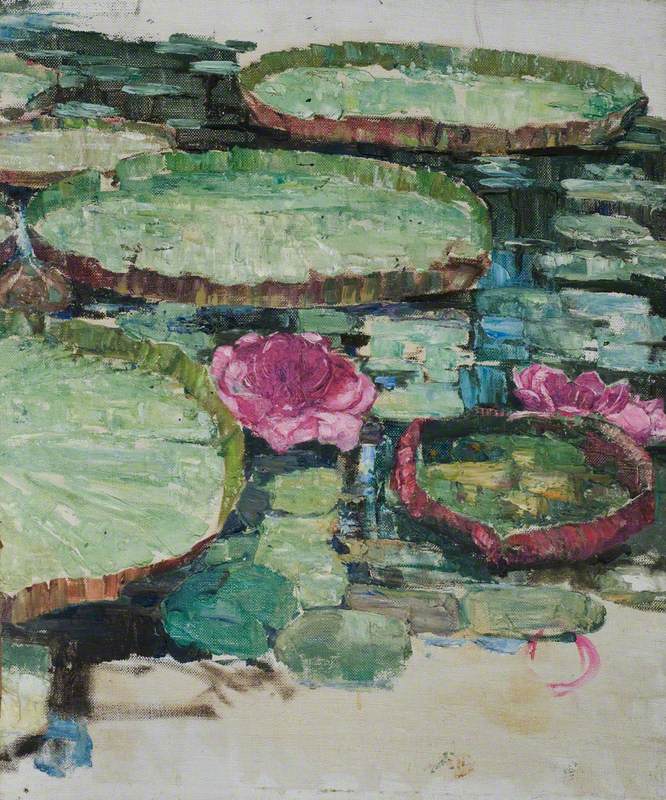 Waterlilies