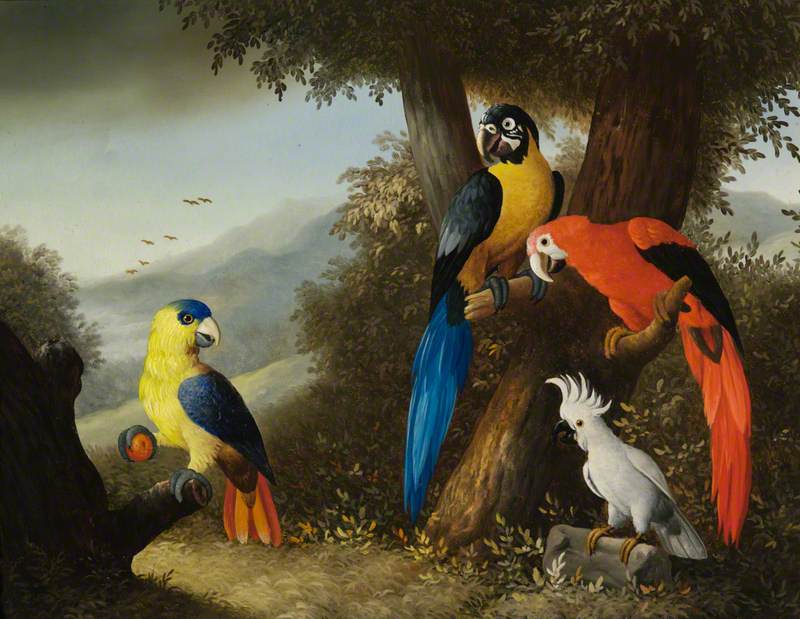 Parrots and a Cockatiel