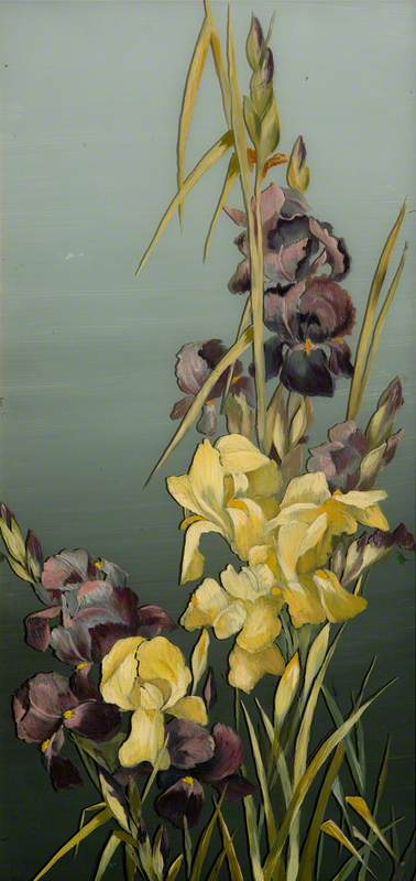 Irises*