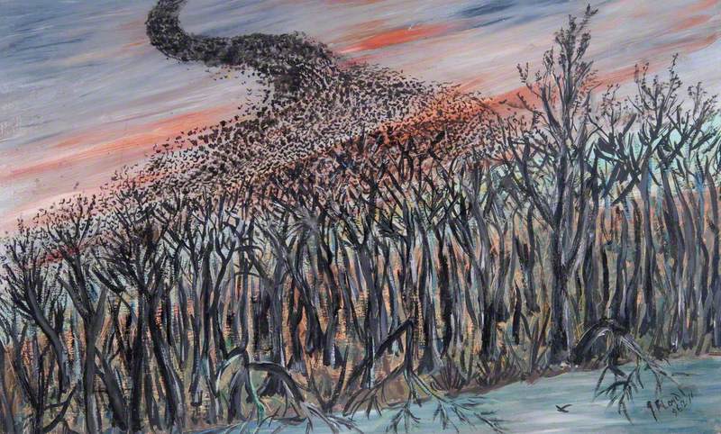 Starlings Coming in to Roost