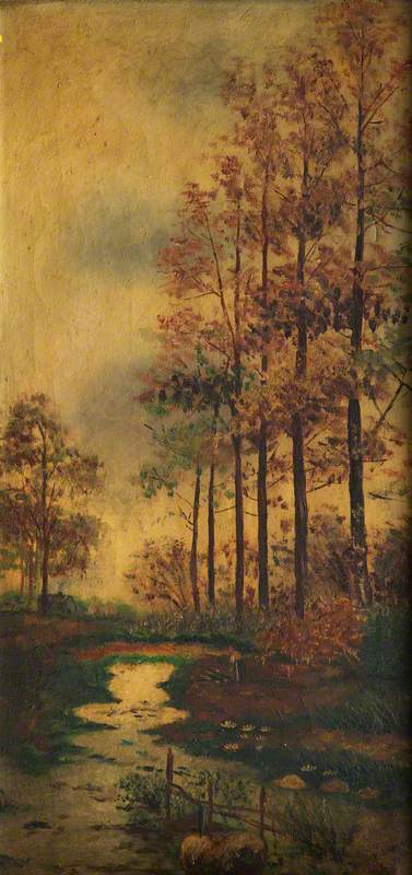 Woodland Scene