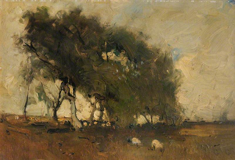 Landscape: Trees and Sheep