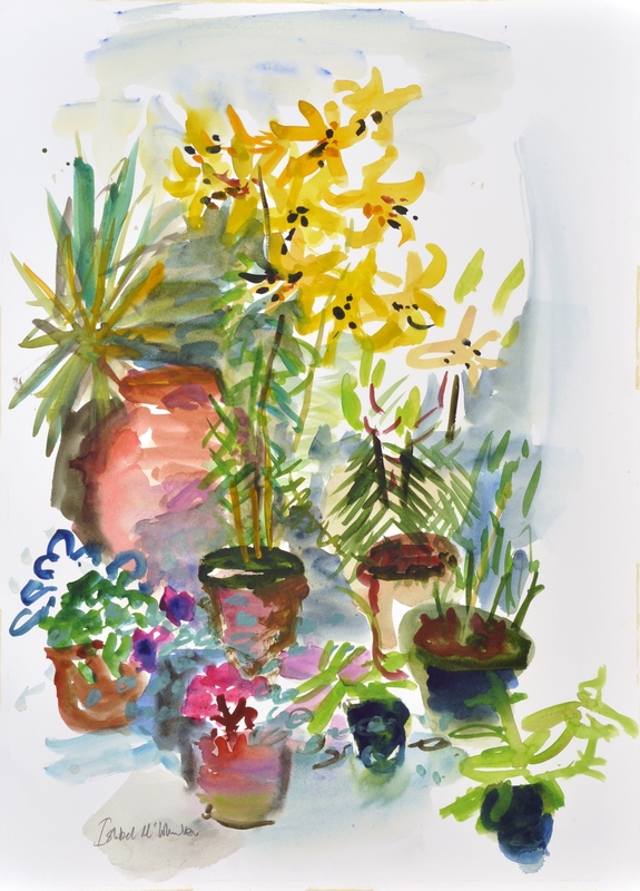 Lilïau a Photiau / Lilies and Pots