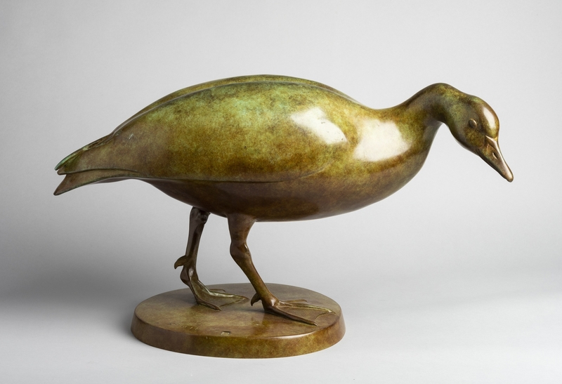 Gwydd y Llafur / Bean Goose