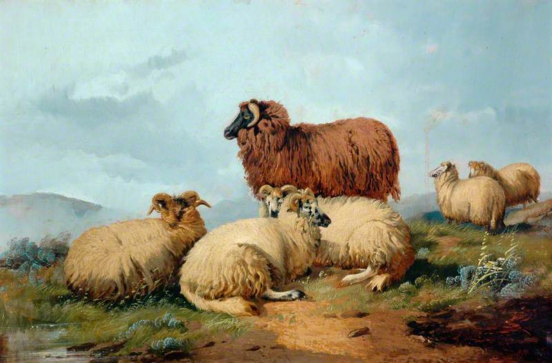 Sheep in a Landscape