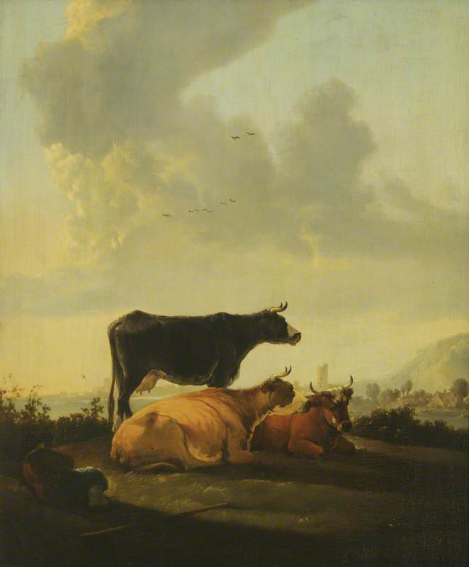 Cows in a Meadow