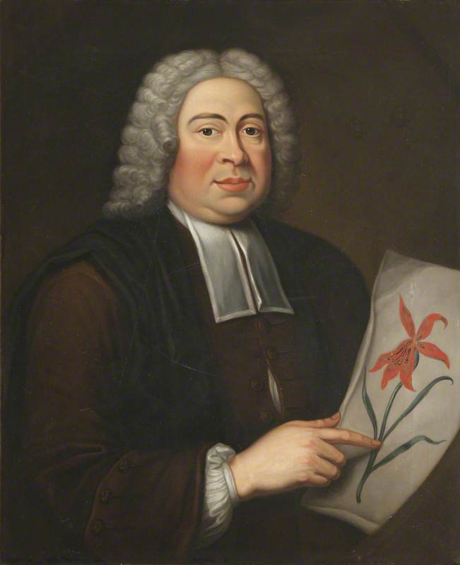 Johann Jakob Dillennius (1687–1747)