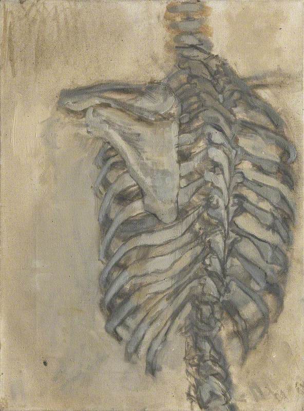 Skeleton Torso