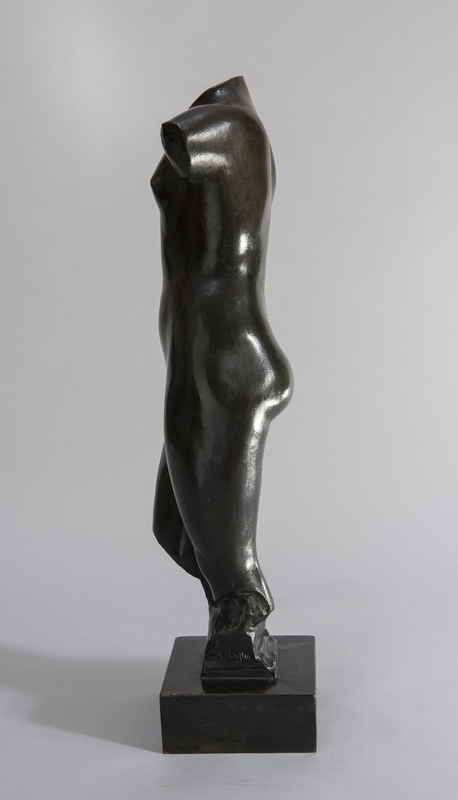 Female Nude Torso