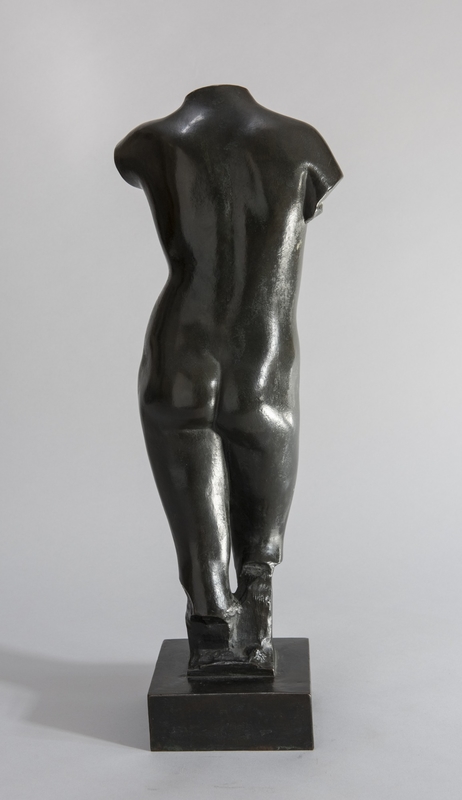 Female Nude Torso