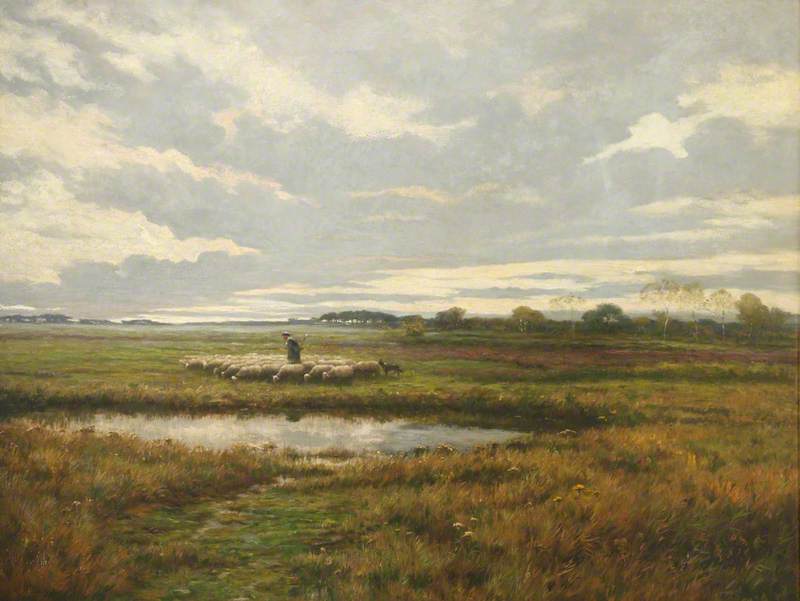Sheep on Marshes