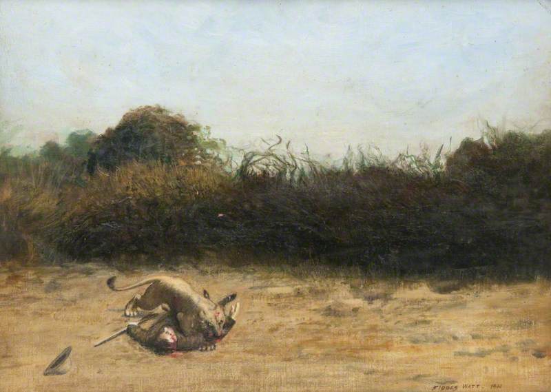 John Duncan Inverarity Mauled by a Lioness, Somaliland